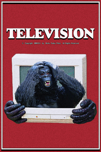 Movie poster for Television (2025)