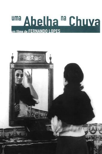 A Bee in the Rain poster