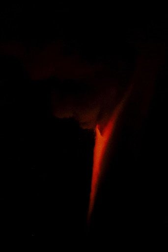 Movie poster for A Short Film About Vanishing (2024)