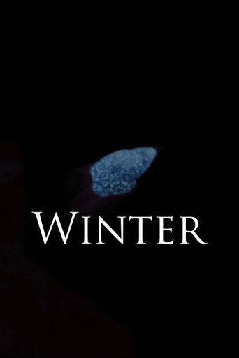 Movie poster for Winter (2020)