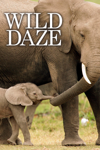Movie poster for Wild Daze (2020)