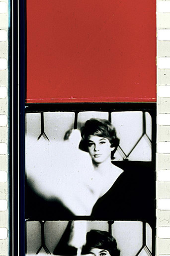 Movie poster for Schwechater (1958)