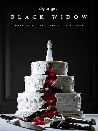 Series poster for Black Widow (2024)