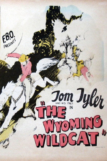 Movie poster for The Wyoming Wildcat (1925)