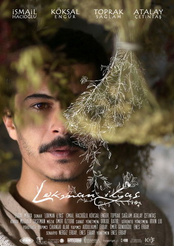 Lokman İlyas poster