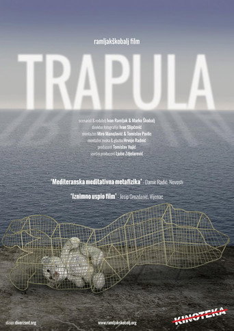 Movie poster for The Trap (2013)