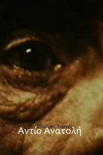 Movie poster for Addio Anatolia (1976)