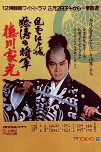 Crisis at Edo Castle - Angry Shogun Tokugawa Iemitsu poster