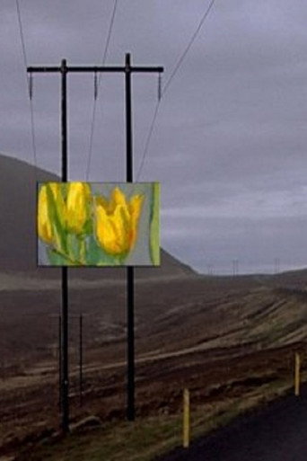 Movie poster for Forged Paintings in Real Icelandic Landscapes (2004)