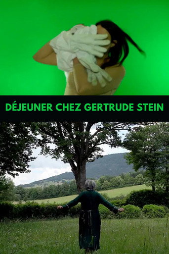 Movie poster for Lunch with Gertrude Stein (2013)