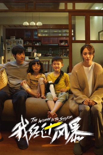 The Woman in the Storm poster