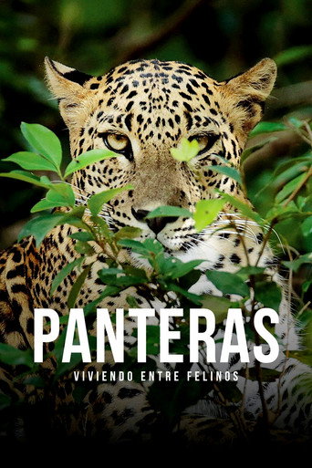 Movie poster for Panteras: viviendo entre felinos (2021)