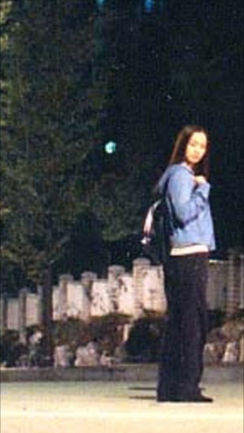 Living in New Town poster