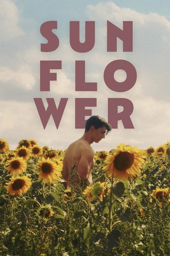 Movie poster for Sunflower (2024)