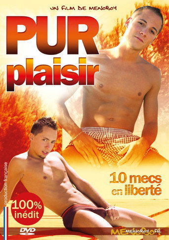 Movie poster for Sheer Pleasure (2010)