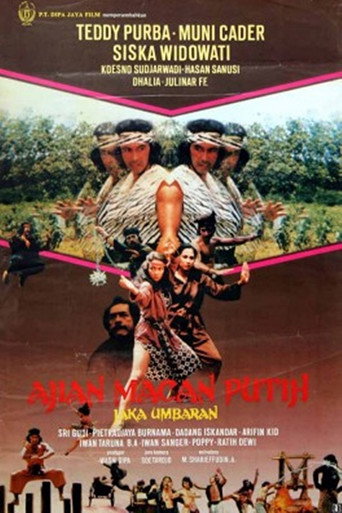 Movie poster for Charm of the White Tiger (1982)