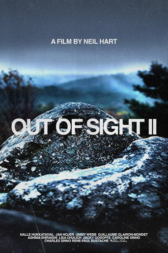 Movie poster for Out of Sight II (2014)