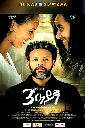 Movie poster for The Third Eye (2020)