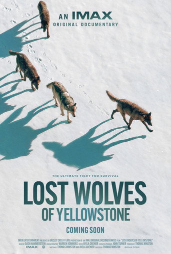 Movie poster for Lost Wolves of Yellowstone (2024)
