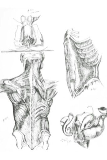 Movie poster for Médicalement (2005)