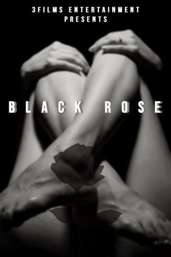 Movie poster for The Black Rose
