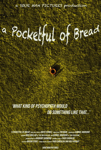 Movie poster for A Pocketful of Bread