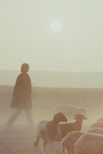 Movie poster for Woman is Sweeter (1973)