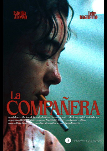 Movie poster for The Classmate (2024)