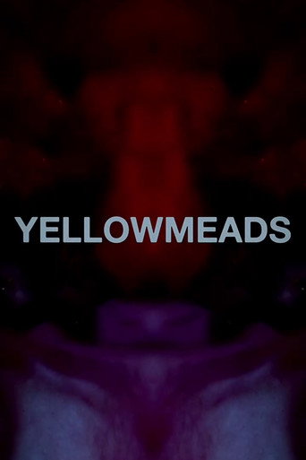 Movie poster for Yellowmeads (2024)