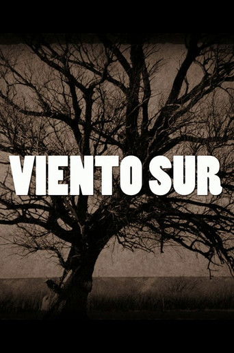 Viento Sur poster