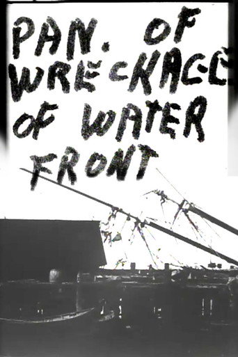 Movie poster for Panorama of Wreckage of Water Front (1900)