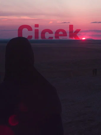 Movie poster for Çiçek (2016)