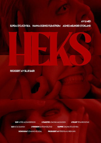Movie poster for Heks