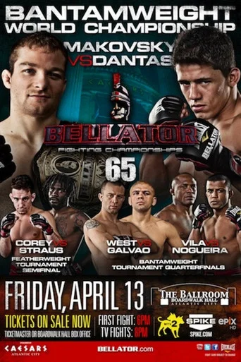 Movie poster for Bellator 65 (2012)