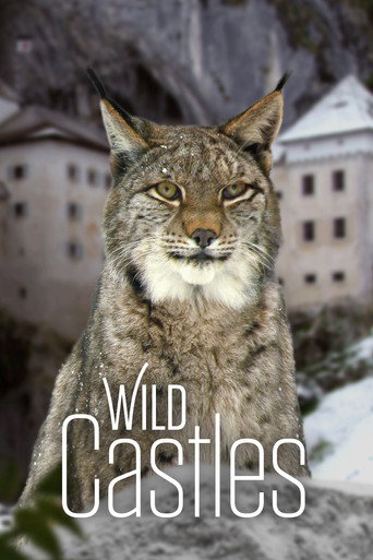 Series poster for Wild Castles (2017)