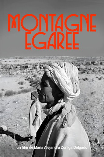 Movie poster for Lost Mountain (2020)