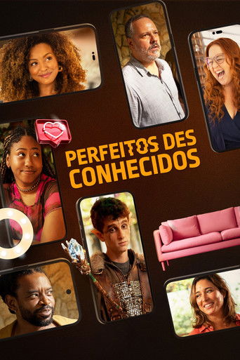 Perfeitos Desconhecidos poster