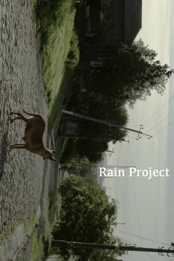 Movie poster for Rain Project (2017)
