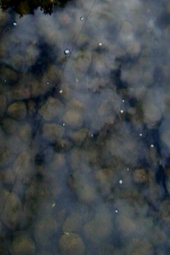 Movie poster for Drops on Marble (2003)