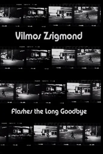 Movie poster for Vilmos Zsigmond Flashes 'The Long Goodbye' (2002)