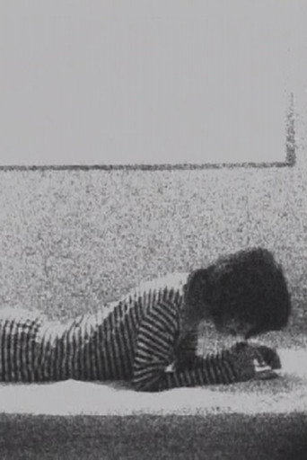 Movie poster for A Record (2007)