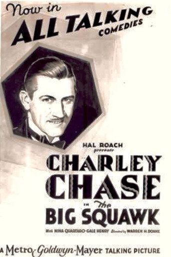 Movie poster for The Big Squawk (1929)
