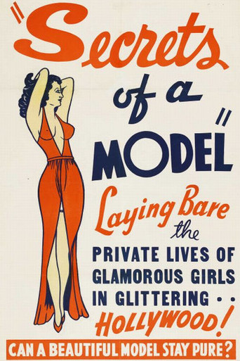 Secrets of a Model poster