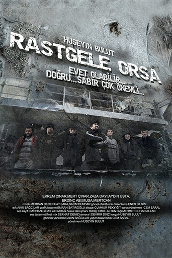 Movie poster for Rastgele Orsa (2012)