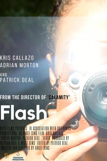 Movie poster for Flash (2019)