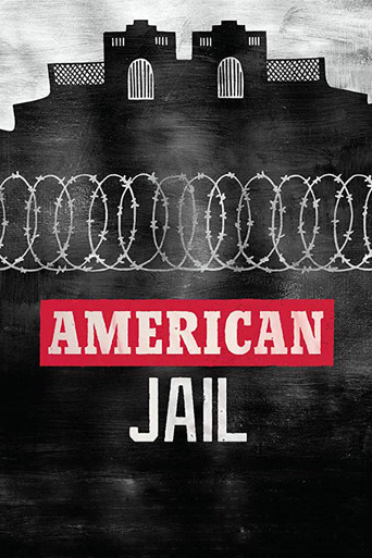 Movie poster for American Jail (2018)