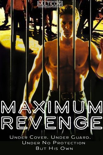 Maximum Security poster
