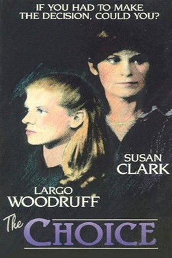 The Choice poster