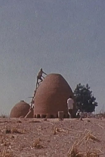 Movie poster for Bawra (1977)