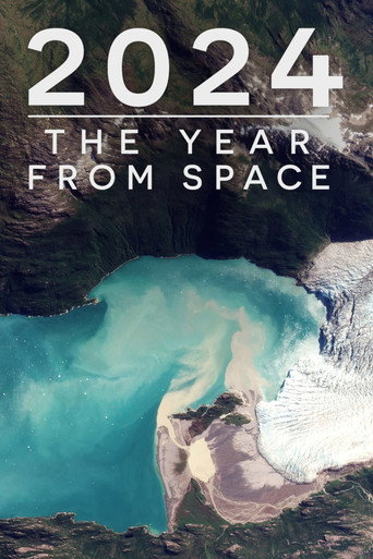Movie poster for 2024: The Year From Space (2024)